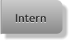 Intern Intern